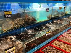 -望海潮海鲜店 特色家常菜(在海一方店)