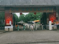 -上海海湾国家森林公园