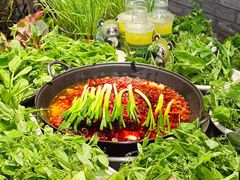 -巴蜀大将火锅(春熙店)