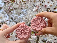 -珈境湖畔餐厅·湖北菜·江浙菜•樱花季(西北湖店)