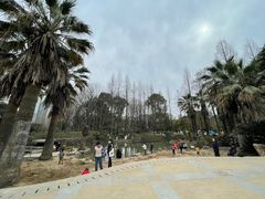 -苏州河梦清园环保主题公园