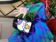 -雲蜀龙阁·金牌水煮鱼(方庄店)