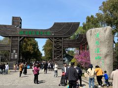 -溱湖国家湿地公园