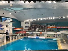 -重庆市奥林匹克体育中心-游泳跳水馆