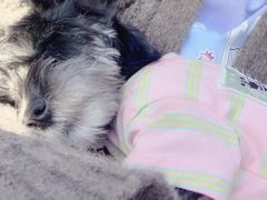 -爱派特动物医院·全科诊疗中心