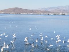 -小普陀