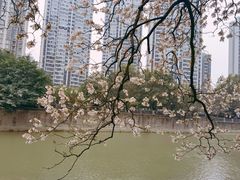 -红星桥(地铁站)