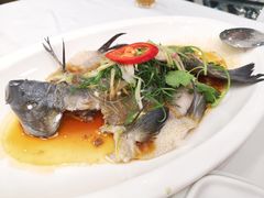清蒸丁桂鱼-百合海鲜酒楼(白云东平店)