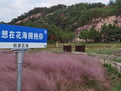 -蛇蟠岛