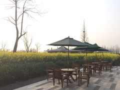 田园东方-田园东方蜜桃村的田野营地