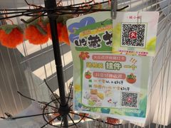 -蛙小侠(柳州万象城店)