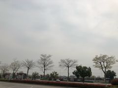 -八仙台服务区-停车场