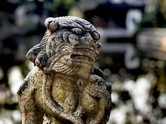 -秋霞圃