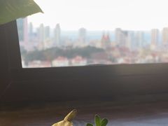 -信号山公园