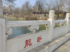 -天津水上公园