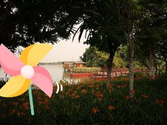 -海珠湖公园