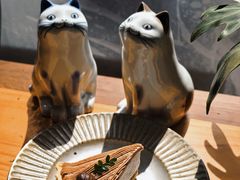 -猫里有甜