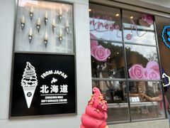 荔枝玫莓脆筒-ZAKUZAKU(顺城店)