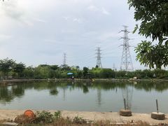 -会江钓鱼钓虾烧烤场