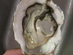 生蚝-渔人湾码头海鲜市场负二楼