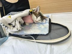 -达爱动物医院·犬猫分区·CT·复杂眼科(远洋山水分院)
