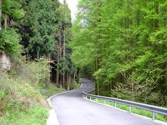-山王坪喀斯特国家生态公园