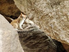 -终南山南五台景区