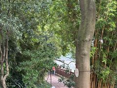 -成都市活水公园