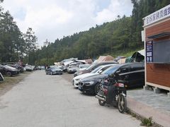 -武陵山森林公园