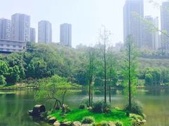 -重庆彩云湖湿地公园