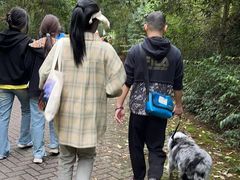 -上海海湾国家森林公园