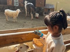 -HERRE·FARM 赫尔露营农场·团建聚会包场