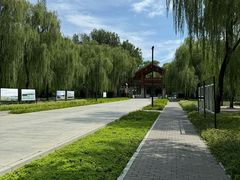 -野鸭湖国家湿地公园