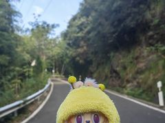 -会稽山峡洞漂流-上青古道