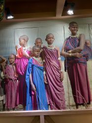 -卡通尼·Safari非洲探索乐园·生日会(金桥国际商业广场店)