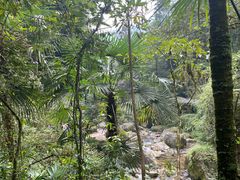 -华冠悠岚·庭院餐厅(青城后山店)