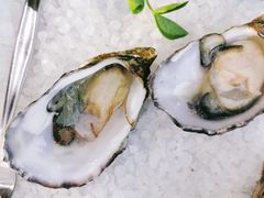 -12 Rocks Beach Bar Cafe