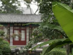 -济南大明湖景区
