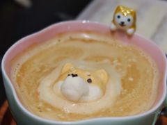 -逗柴咖啡屋·狗咖猫咖宠物桌游
