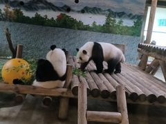 -西安秦岭野生动物园