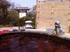 -扬州瘦西湖温泉