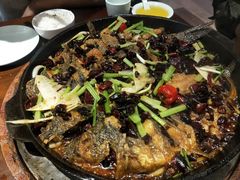 -老板恋上鱼(高新万达店)
