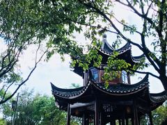 -上海市保健医疗中心(华东疗养院)