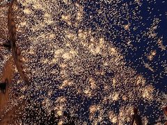 -鸿恩陶然大观园