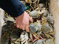 -新农都水产市场