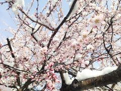 -朝阳公园游乐园