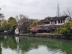 -状元楼(金溪路店)