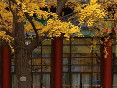 -四川大学(华西校区)