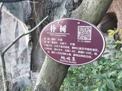 -蛇蟠岛