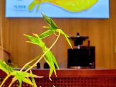 -赶海部落海鲜城(海阳路店)